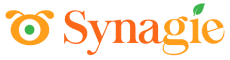 log-synagie-60